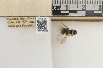 Media type: image;   Entomology 794928 Aspect: Labels